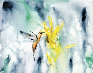Lebendiger Kolibri-Blüte von RodMacIver