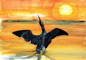 Lebendiger Seetaucher-Sonnenuntergang von RodMacIver