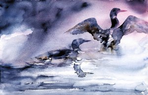 Wasservögel in der Dämmerung von RodMacIver