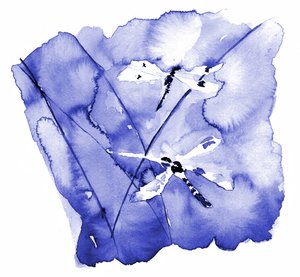 Aquarell Blaue Libellen