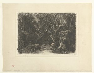 Waldlandschaft mit Bach und überhängenden Bäumen