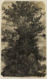 Baumgruppe mit einem Dorf in der Ferne von Rodolphe Bresdin