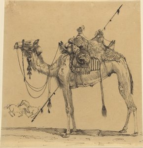 Das Kamel