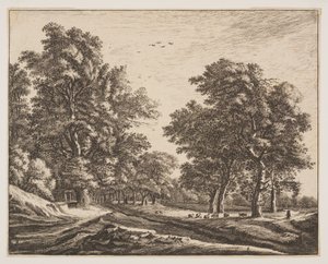 Nr. 4, aus Sechs Ansichten im Wald von Den Haag