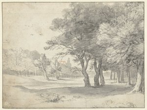 Ansicht im Haagse Bos, mit der Grote Kerk, Den Haag, in der Ferne