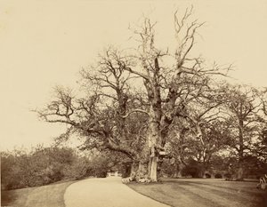  von Roger Fenton