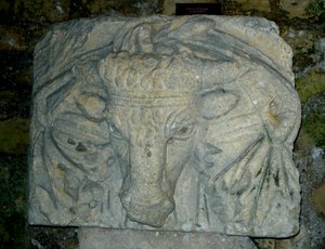 Kopf eines Stiers von Roman