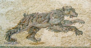Jagdszene, Detail eines Bären, Haus des Dionysos, Paphos, Zypern