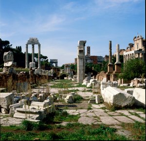Römische Kunst: Blick auf das Forum (foro romano). Rom von Roman Roman