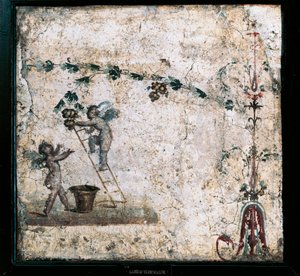 Fresko im dritten Stil, das Cupidos bei der Ernte zeigt, aus dem Haus des Marcus Lucretius in Pompeji