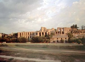 Blick auf den Palatin vom Circus Maximus von Roman Roman
