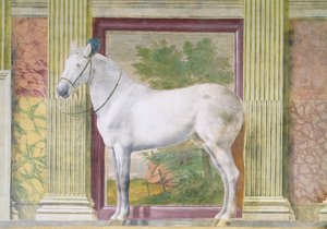 Halle der Pferde, Detail eines Porträts eines grauen Pferdes aus den Ställen von Ludovico Gonzaga III. von Mantua von Romano Giulio