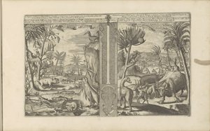 Tiere aus Westindien von Romeyn de Hooghe