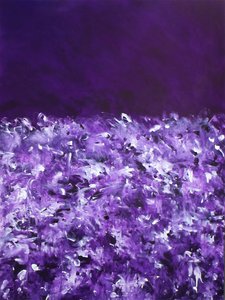 Lebendige violette Felder
