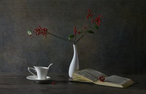 Gemütliches Lese-Stillleben