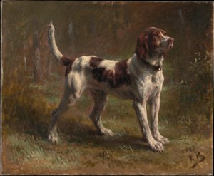 Ein Limier Briquet Hund