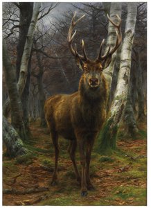 König des Waldes, 1878