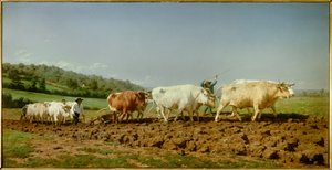 Das Pflügen in Nivernais, der Schattenwurf Gemälde von Marie Rosalie Bonheur genannt Rosa Bonheur (1822-1899) 1849 Paris, Musée d