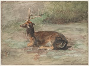 Liegender Hirsch, zweite Hälfte des 19. Jahrhunderts (Aquarell und Gouache über Graphit) von Rosa Bonheur