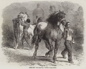 Skizze vom Pferdemarkt von Rosa Bonheur