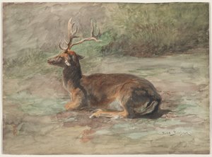 Liegender Hirsch von Rosa Bonheur