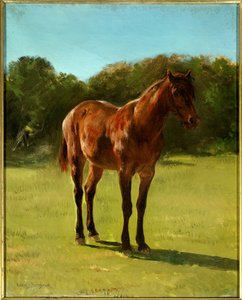 Studie eines kastanienbraunen Pferdes. Gemälde von Rosa Bonheur (1822-1899)
