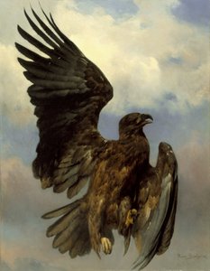 Der verwundete Adler