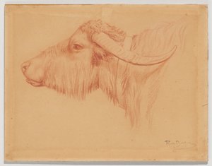 Wasserbüffel von Rosa Bonheur