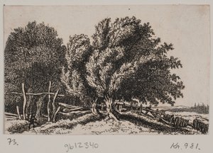 Landschaft von Rosalie Holm