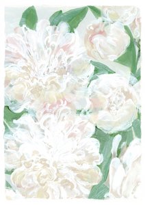 Zarte weiße Pfingstrosen