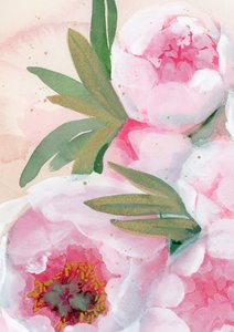 Aquarell-Pfingstrosenblüten
