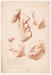 Köpfe von Mann, Frau und Kind (Principes van het tekenen naar de natuur, deel twee)