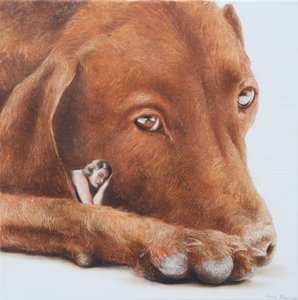 Friedlicher Hundetraum
