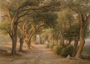 Castel Gandolfo von Rudolf Müller