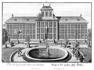 Prospekt des großen Glashauses von Salomon Kleiner