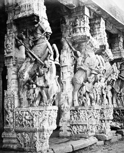 Geschnitzte Pferdesäulen im Ranganatha-Tempel, Srirangam, 1869 von Samuel Bourne