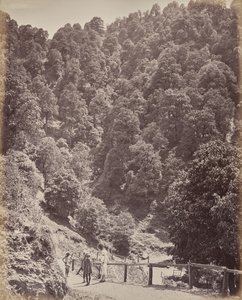 Shimla. Blick nach Norden auf den Mount Jakko von Samuel Bourne