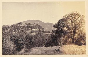 Simla; "Peterhof" von Samuel Bourne