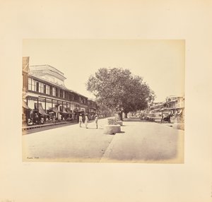 Die Chandni-Chouk, Hauptstraße in Delhi von Samuel Bourne