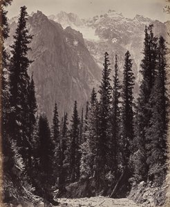  von Samuel Bourne