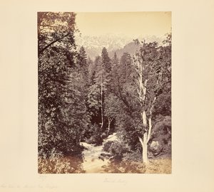  von Samuel Bourne