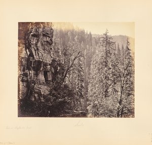  von Samuel Bourne