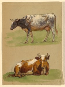 Zeichnung, Rinder, eine gehende und eine kauernde Kuh, 1875–80 von Samuel Colman