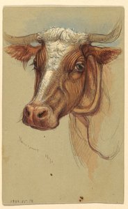 Zeichnung, Skizzen aus Narragansett, Rhode Island, 1871 von Samuel Colman