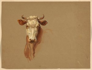 Zeichnung, Zwei Studien. Vieh, 1876 von Samuel Colman
