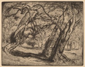 Ohne Titel (Waldlandschaft)