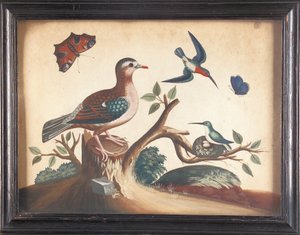 Grünflügelige Taube mit Rotkehlkolibris, Pfauenfalter und Ultramarin-Schmetterling von Samuel Dixon