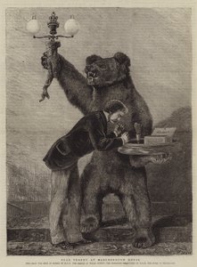 Bärentrophäe im Marlborough House von Samuel Edmund Waller