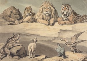 Ein Wildschwein, ein Leopard, ein Löwe, ein Tiger, ein Wolf, ein Widder und zwei Adler von Samuel Howitt