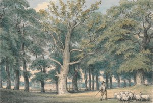 Ein Parklandschaft mit Schäfer und Schafen